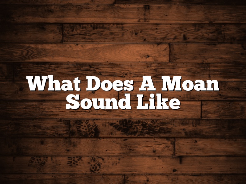 What Does A Moan Sound Like