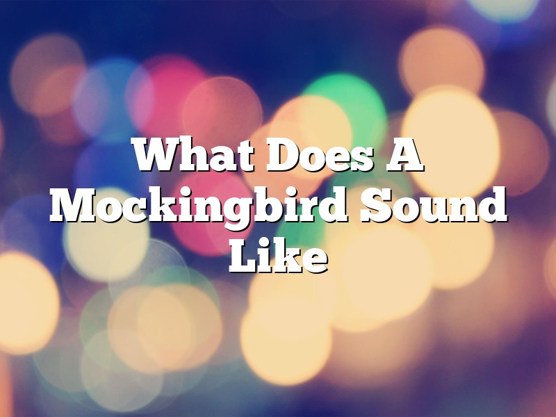What Does A Mockingbird Sound Like