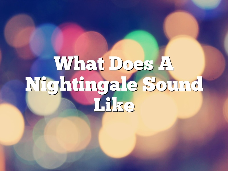 What Does A Nightingale Sound Like