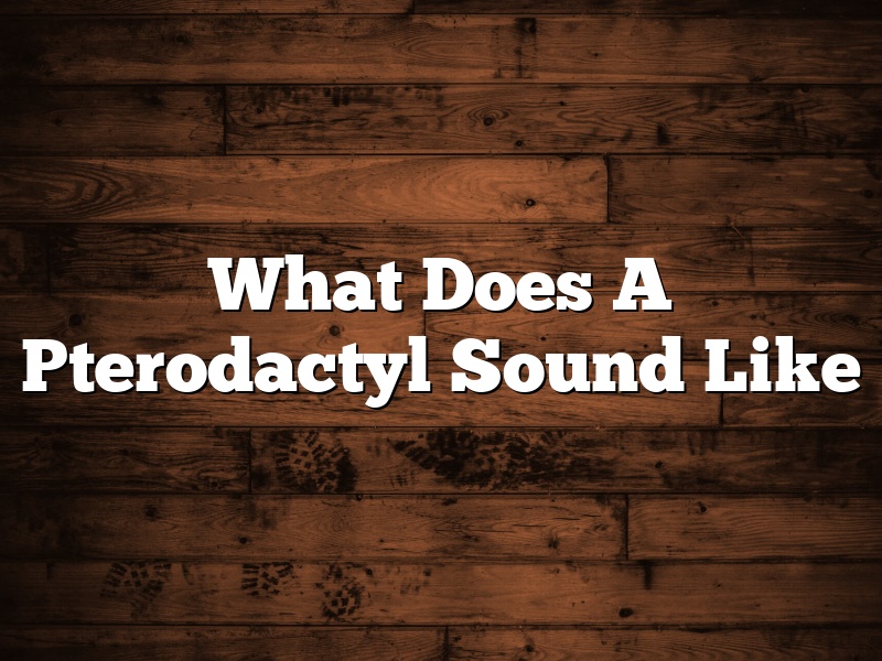 What Does A Pterodactyl Sound Like