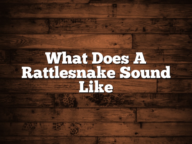 What Does A Rattlesnake Sound Like
