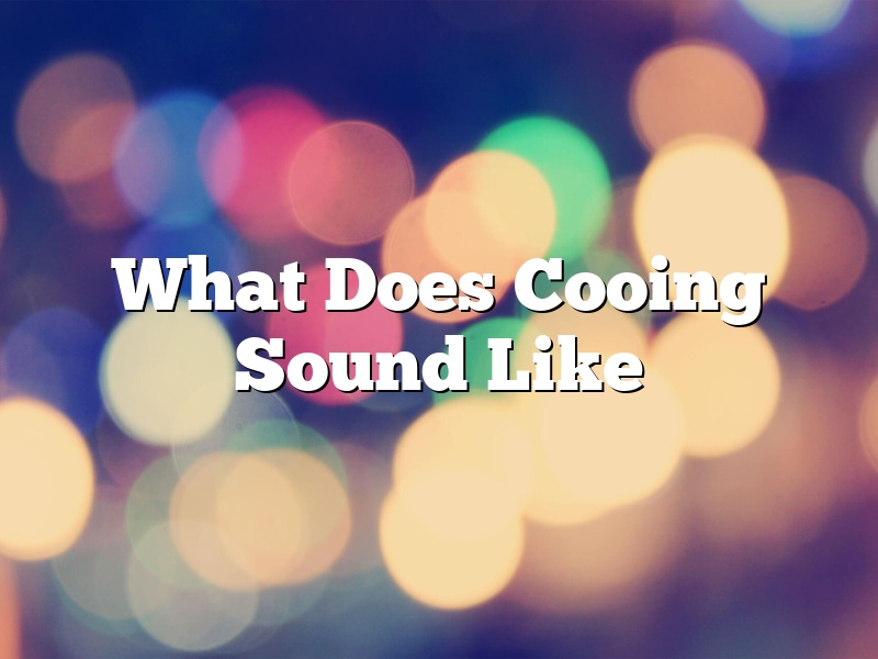 What Does Cooing Sound Like