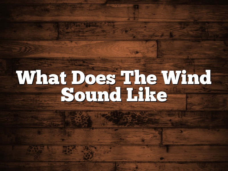 What Does The Wind Sound Like