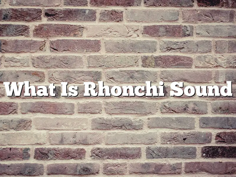 What Is Rhonchi Sound