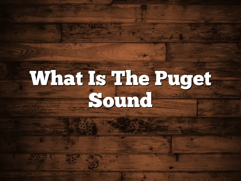 What Is The Puget Sound
