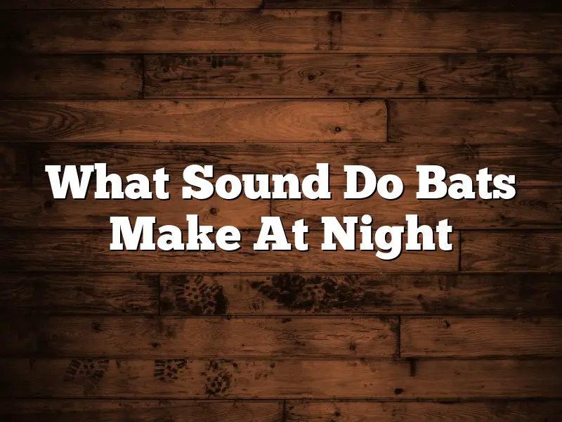 What Sound Do Bats Make At Night
