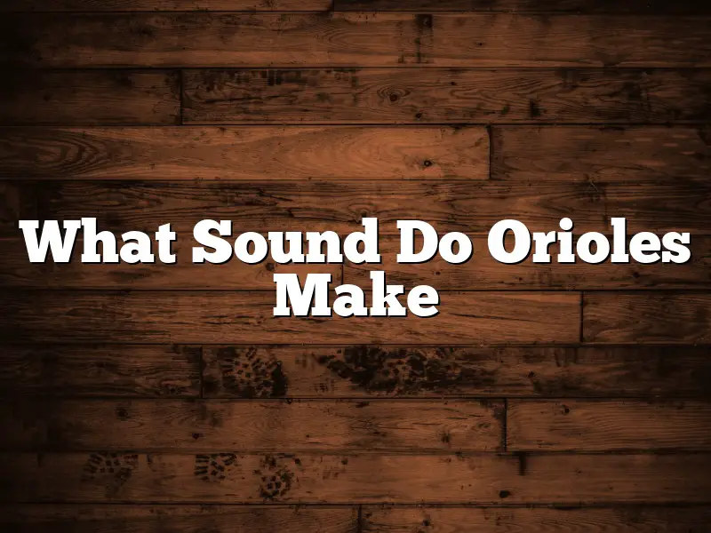 What Sound Do Orioles Make