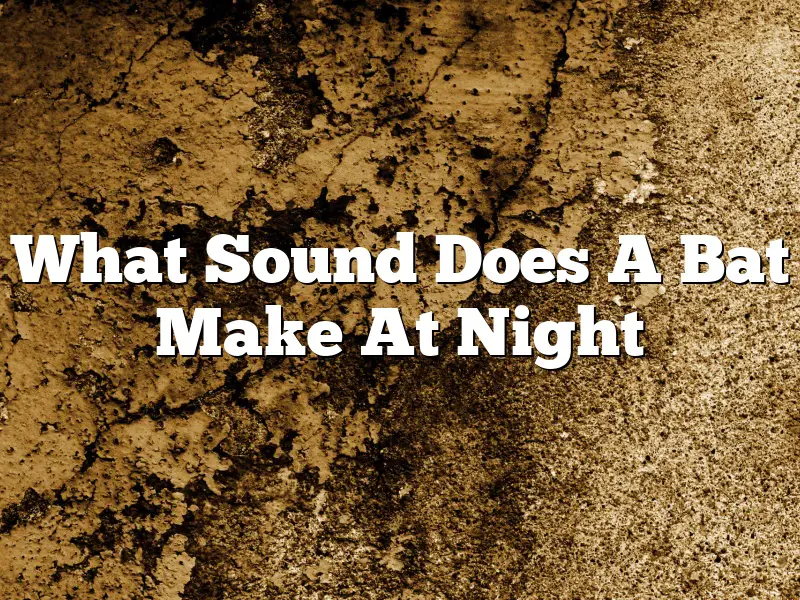 What Sound Does A Bat Make At Night