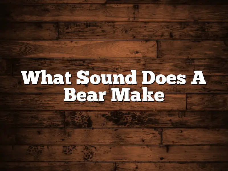 What Sound Does A Bear Make