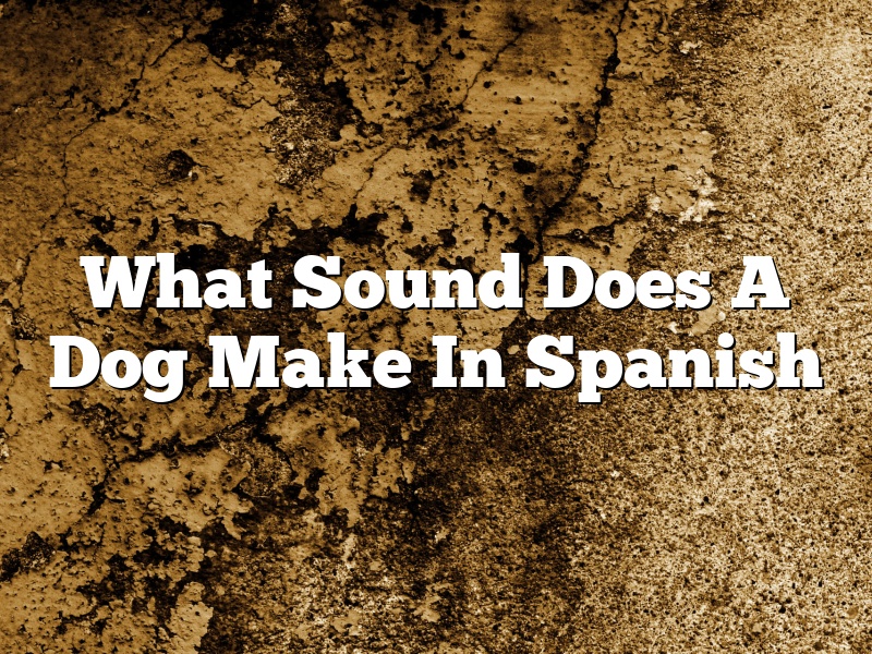 What Sound Does A Dog Make In Spanish