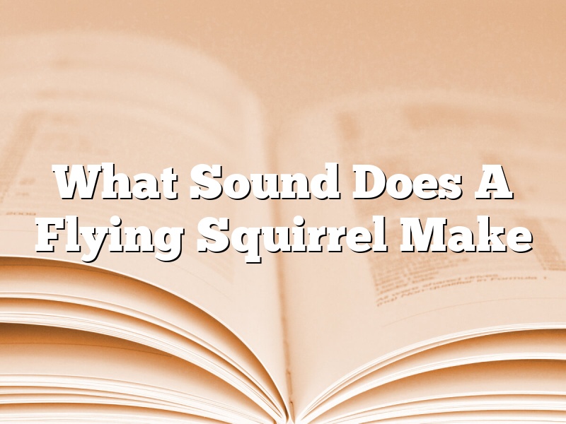 What Sound Does A Flying Squirrel Make