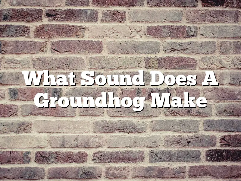 What Sound Does A Groundhog Make
