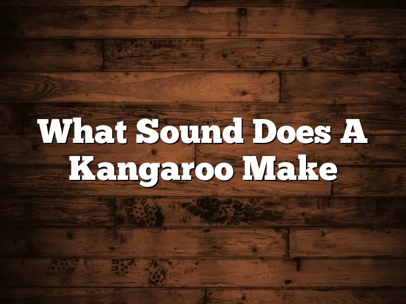 What Sound Does A Kangaroo Make