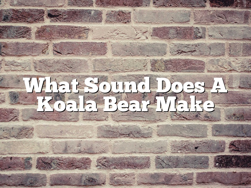 What Sound Does A Koala Bear Make