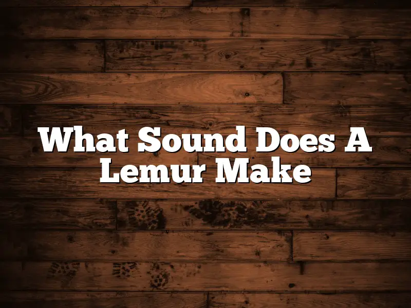What Sound Does A Lemur Make