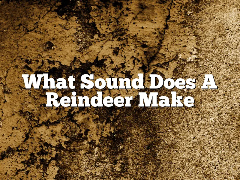 What Sound Does A Reindeer Make