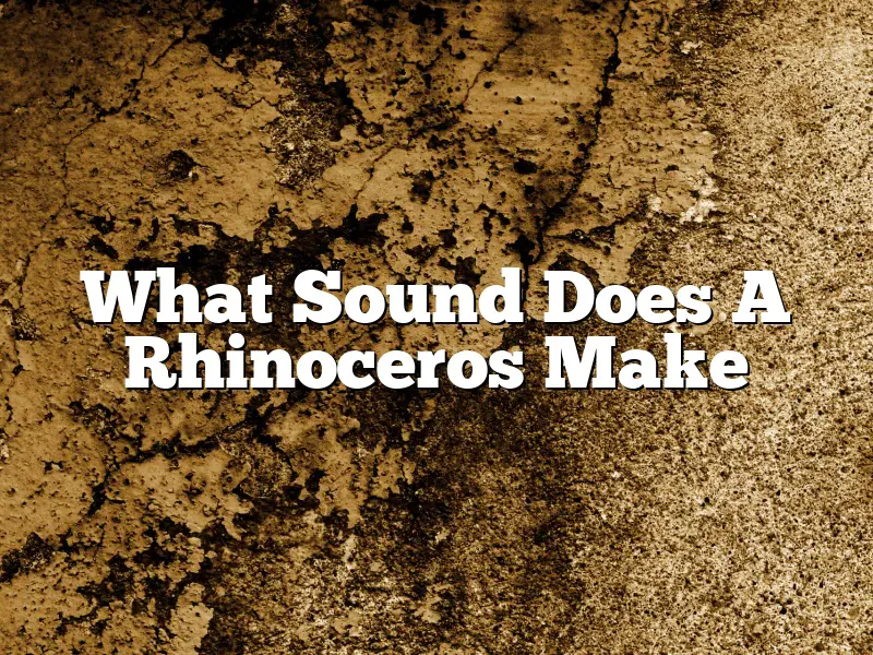 What Sound Does A Rhinoceros Make