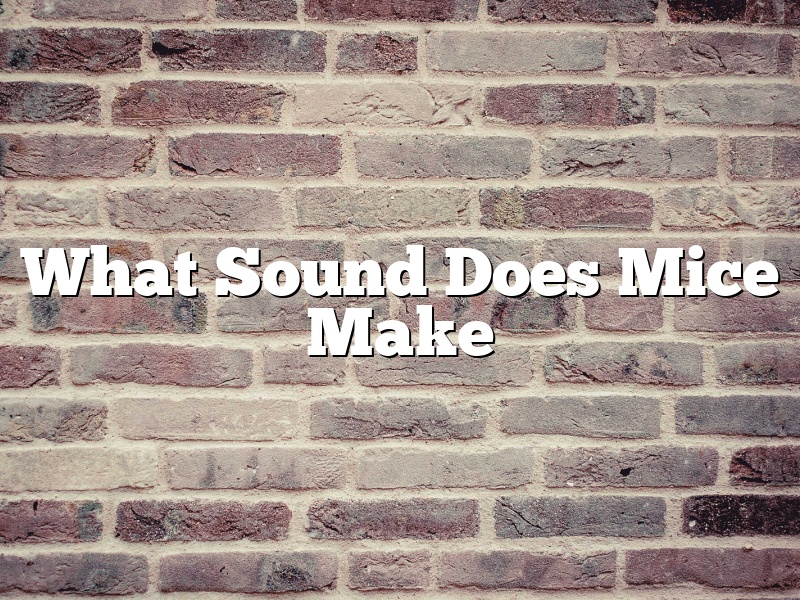 What Sound Does Mice Make