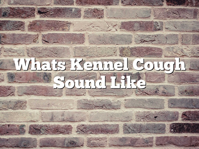 Whats Kennel Cough Sound Like