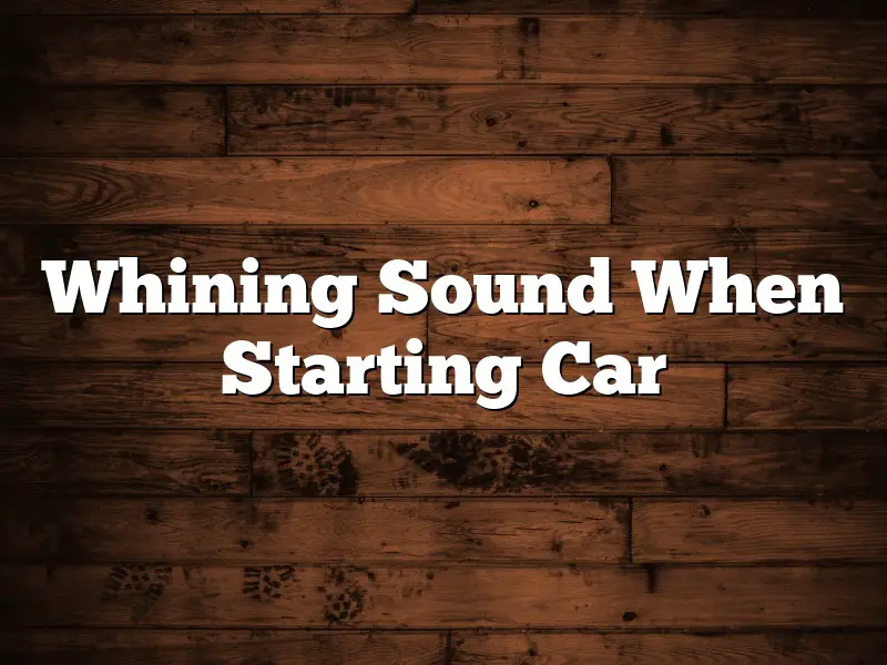 Whining Sound When Starting Car