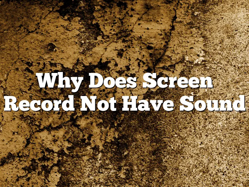 Why Does Screen Record Not Have Sound