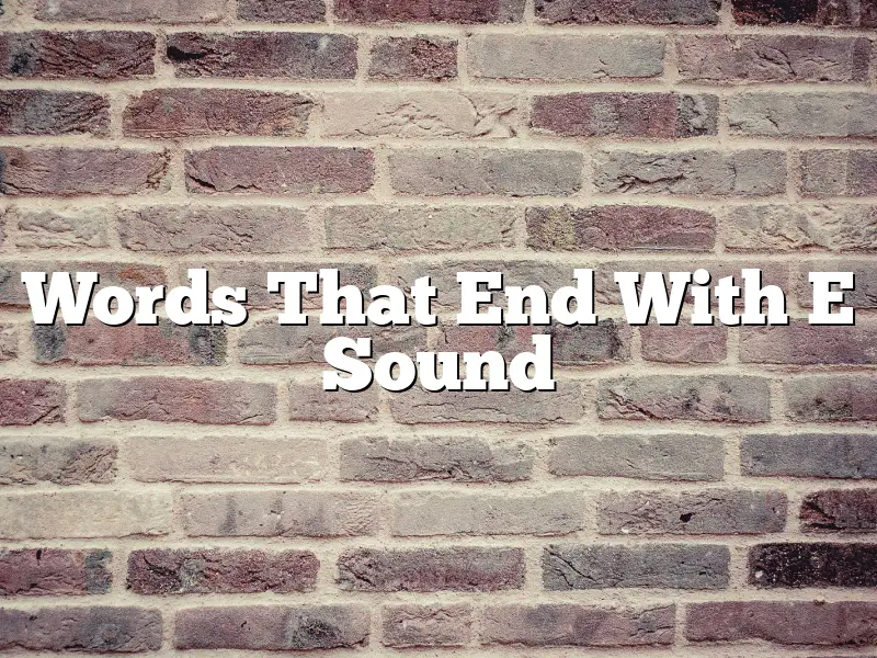 Words That End With E Sound