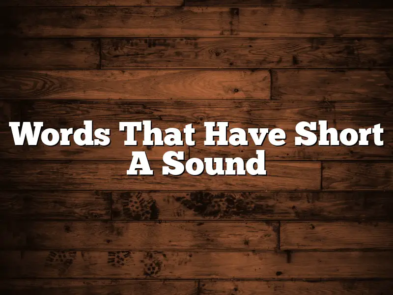 Words That Have Short A Sound