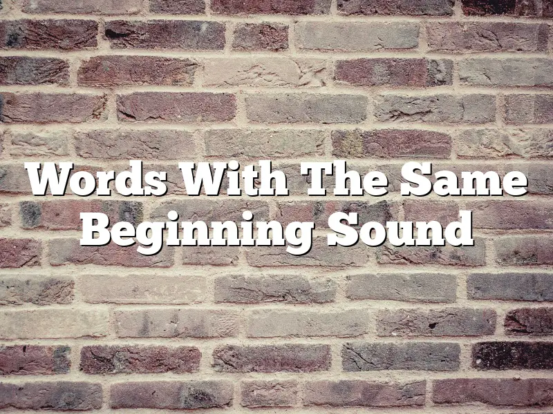 Words With The Same Beginning Sound