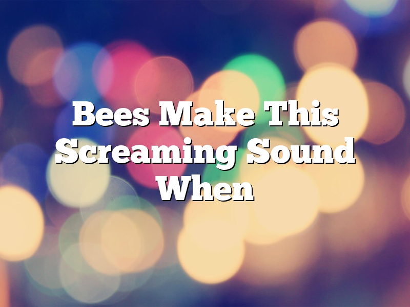 Bees Make This Screaming Sound When