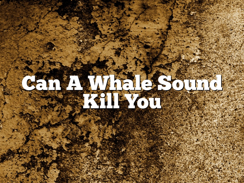 Can A Whale Sound Kill You