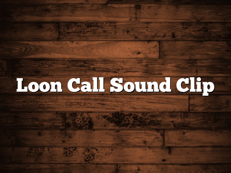 Loon Call Sound Clip
