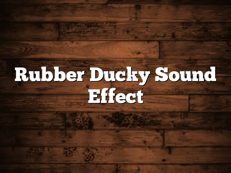 Rubber Ducky Sound Effect
