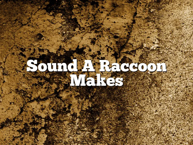 Sound A Raccoon Makes