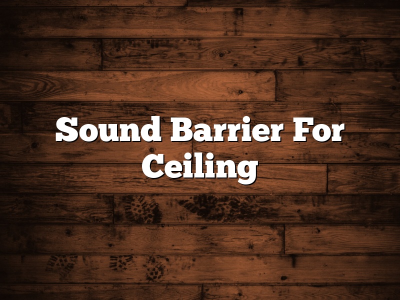 Sound Barrier For Ceiling