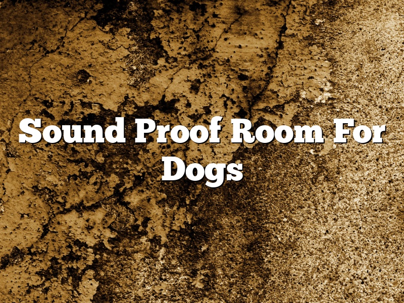Sound Proof Room For Dogs