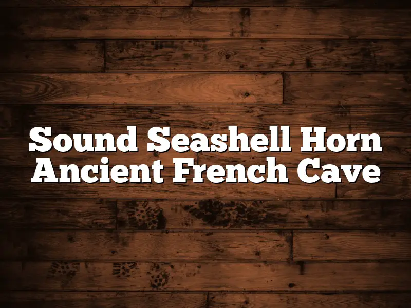 Sound Seashell Horn Ancient French Cave