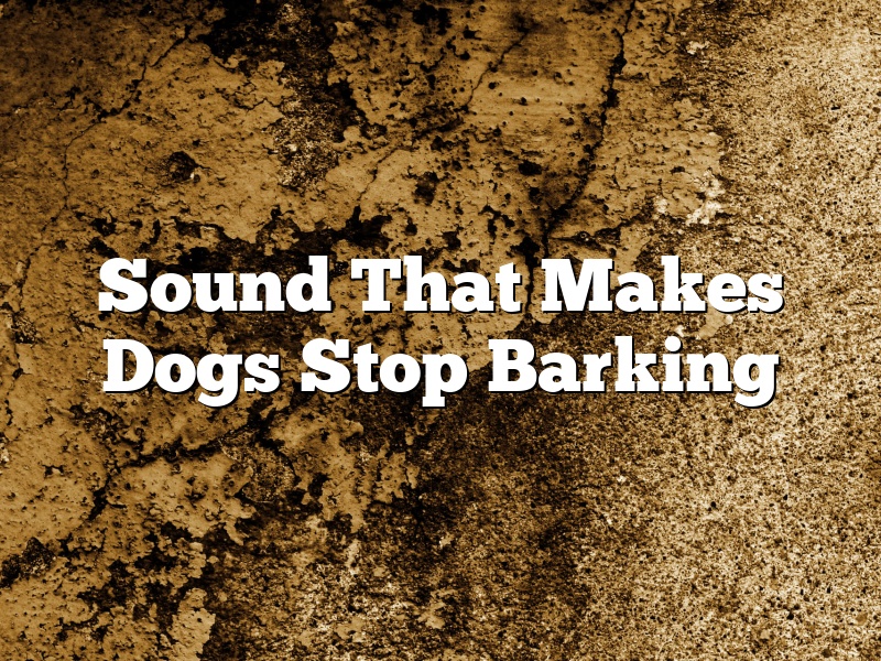 Sound That Makes Dogs Stop Barking