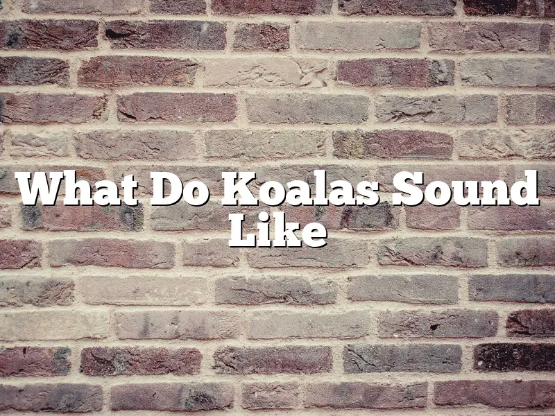 What Do Koalas Sound Like