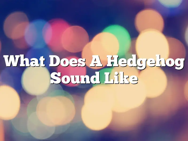 What Does A Hedgehog Sound Like