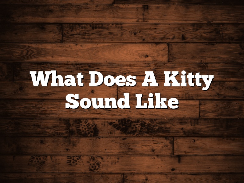 What Does A Kitty Sound Like