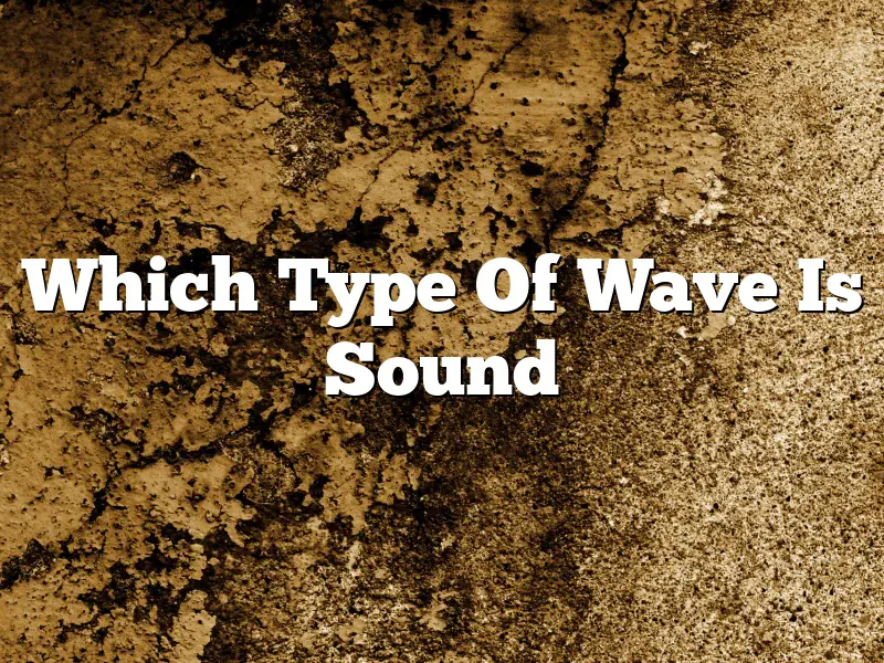 Which Type Of Wave Is Sound