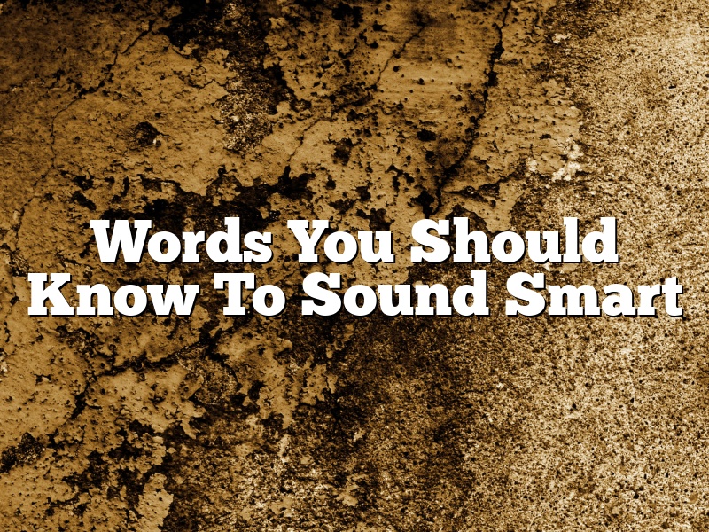 Words You Should Know To Sound Smart